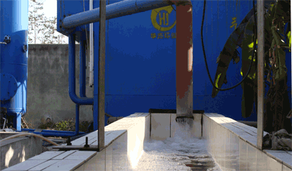 凡人食品廢水標(biāo)準(zhǔn)排放口